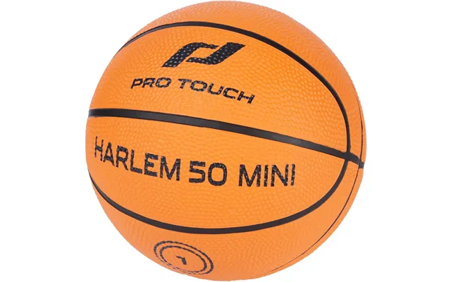 Harlem 50 Basketball