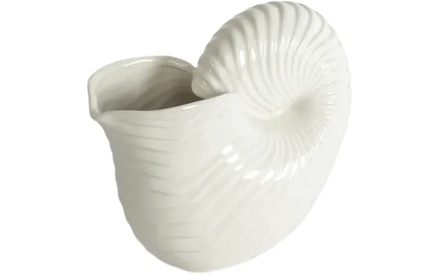 Jug Shelley