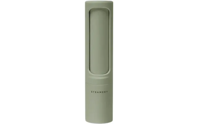 Lint Brush Sage