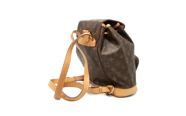 Louis Vuitton Montsouris