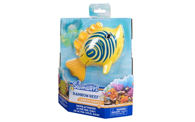 Rainbow Reef Fish Zebra