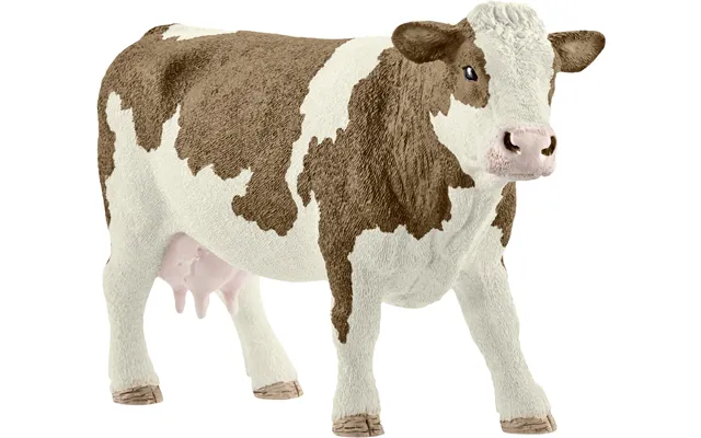 Sch13801 Simmental Cow
