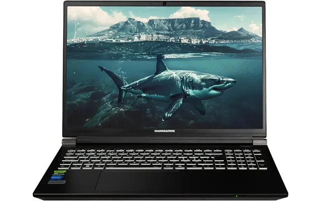 Sharkgaming 9g1770 Ti I9 Laptop
