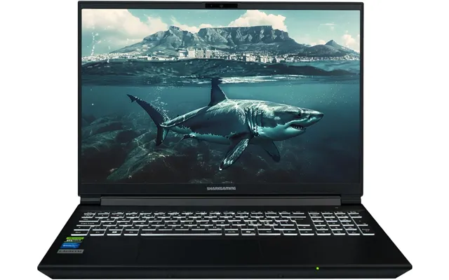 Sharkgaming 9v1660 R7 Laptop