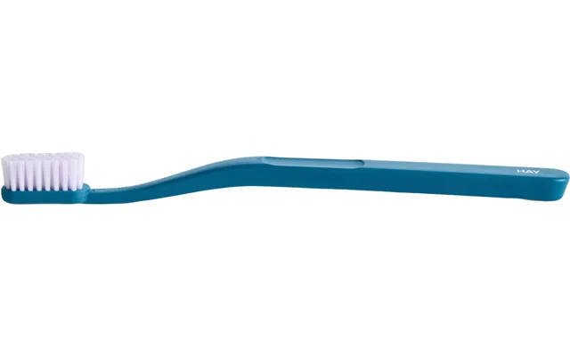 Tann Toothbrushocean Blue And Lavender