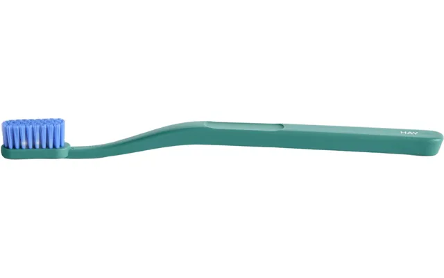 Tann Toothbrushpine Green And Blue