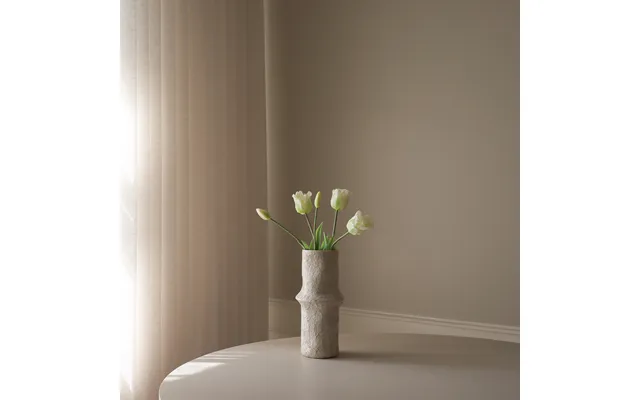 Triumph Tulip Bundle White