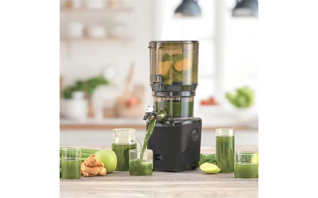 Witt By Kuvings Auto10s Whole Slow Juicer Black