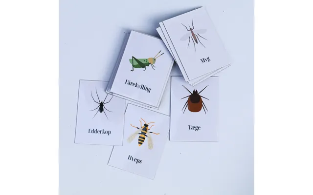 Magneter Med Insekter