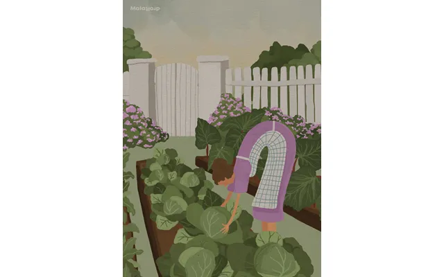 Køkkenhaven Plakat 60x80