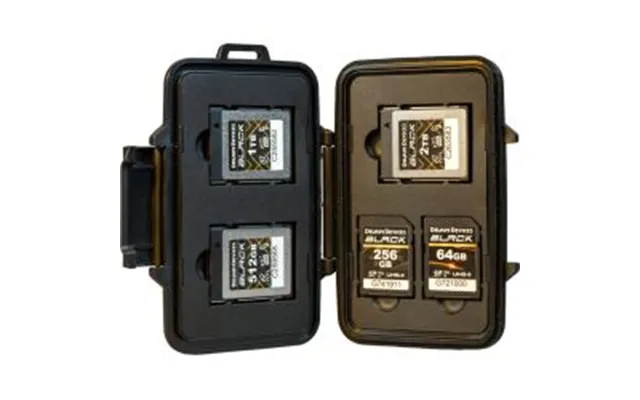 Delkin Weather Resistant Case For Cfexpress Type B Tote For 3xcfexpress Type B 2xsd & 2xmicrosd