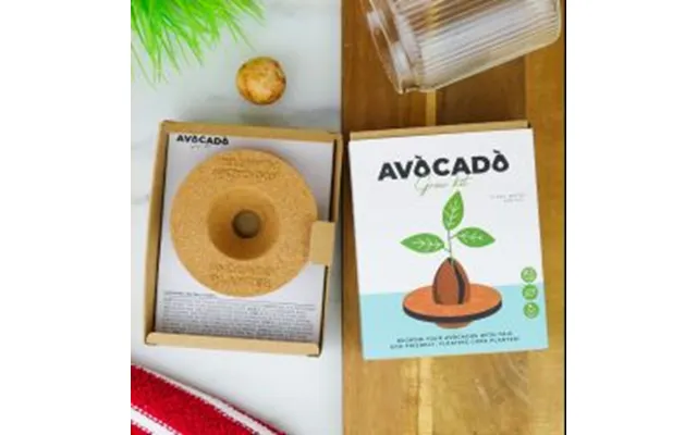 Gift Republic Grow Kit Avocado - Diverse