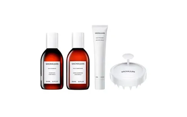 Sachajuan Value Sets Holiday Box Scalp Care Kit - 1 Stk.