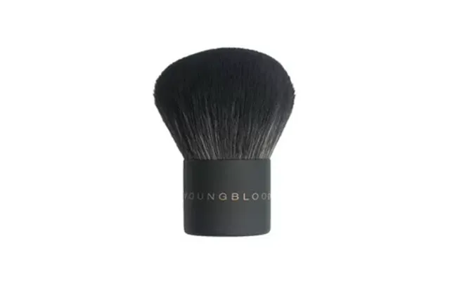Youngblood Yb1 Kabuki Brush