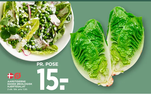 Aarstiderne Dansk Økologisk Hjertesalat