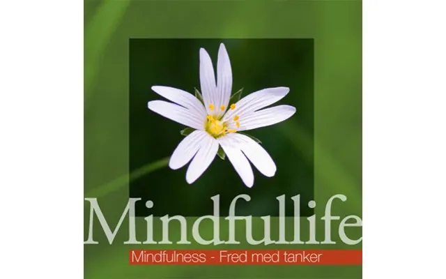 Mindfulness - Fred Med Tanker Mindfullife