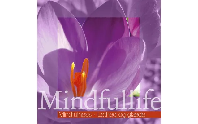 Mindfulness - Lethed Og Glæde Mindfullife