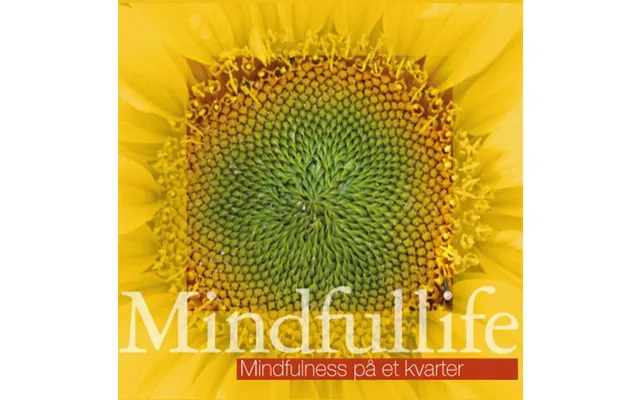Mindfulness På Et Kvarter Mindfullife