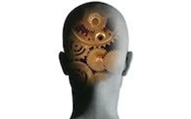 Nlp Practitioner På Nlpkursus.dk