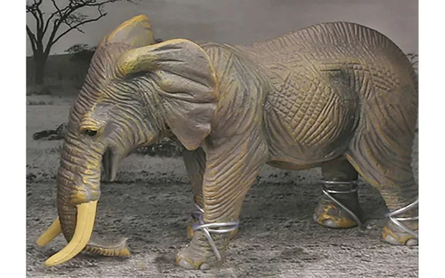 Animal Universe Elefant I Åben Æske