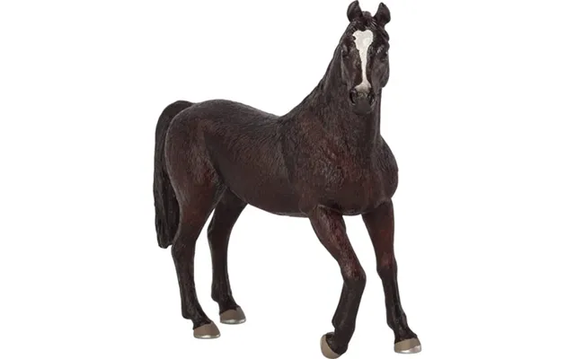 Mojo Arabisk Hingst - Sort