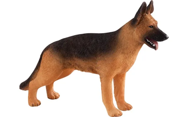 Mojo Schæferhund