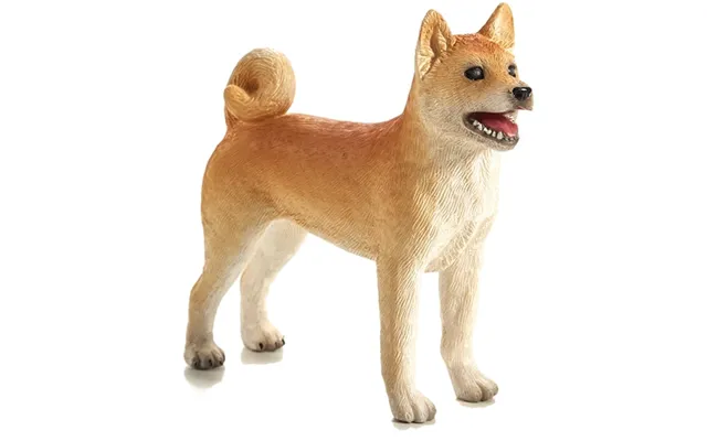 Mojo Shiba Hund