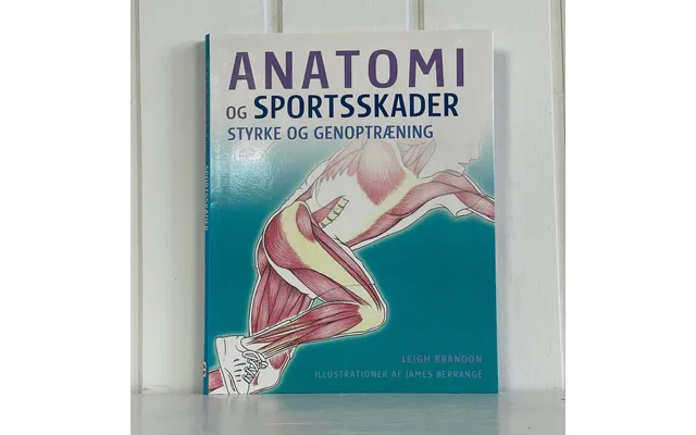 Anatomi Og Sportsskader