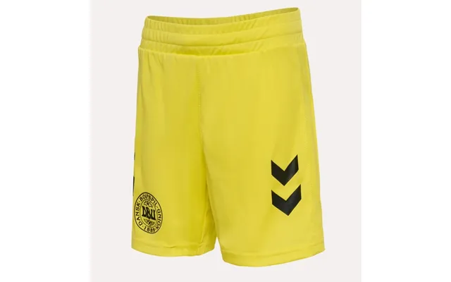 Denmark Goal-keeper Shorts 2024 26 - Youth-140