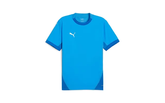 Puma Teamfinal Jersey Blue - Mens-s product image