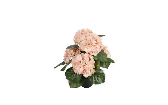 Mr Plant - Kunstig Hortensia, 37 Cm