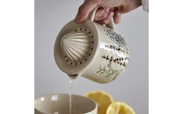 Citruspresser Bea M Kande Til Saften - Bloomingville