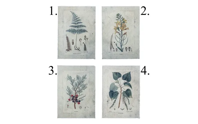 Plakat M Træer - Bloomingville