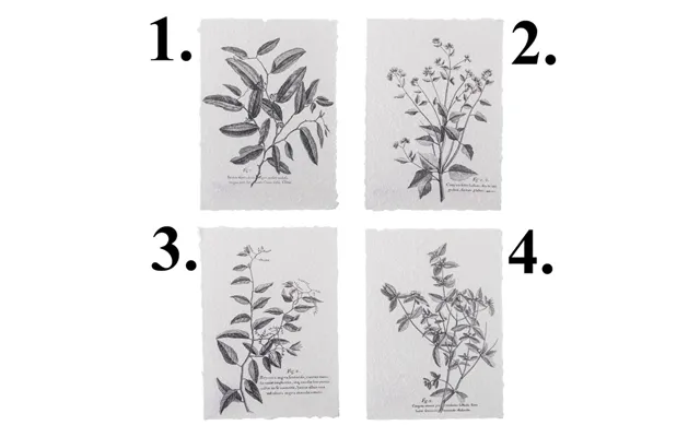 Plakater Fribo M Sorte Kviste - Bloomingville