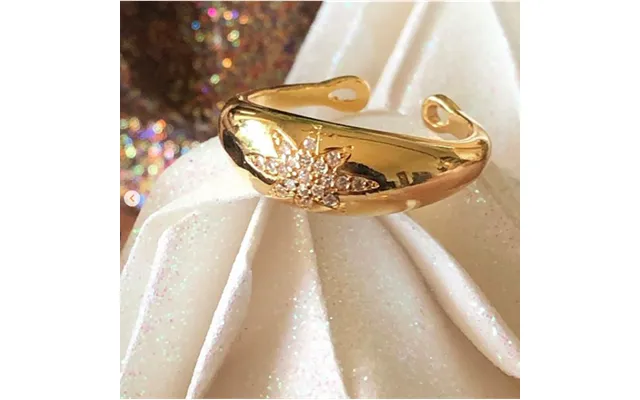 Ring - Friihof Siig