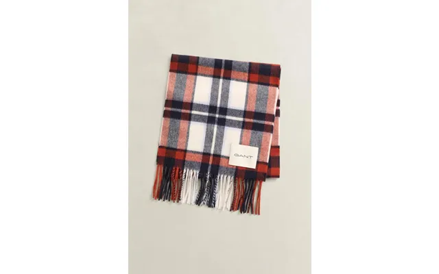 Checked Wool Scarf