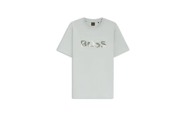 Te Insignia 10276567 01