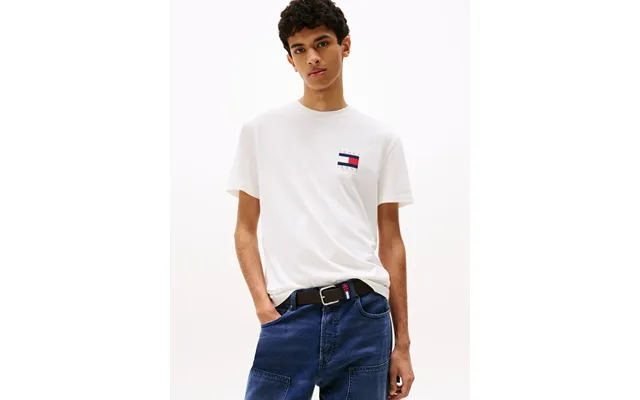 Tjm Reg Flag Graph Bckprnt T Ext