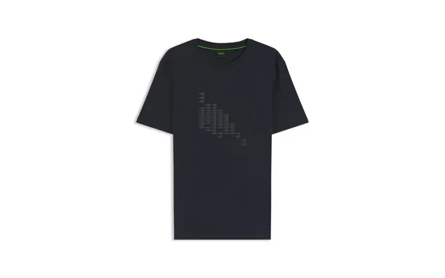 Ts Network Flag 10273414 01