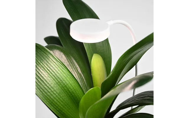 Fleksibel Plantelys Med Spyd - 12w, Timer