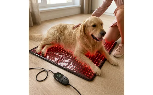 Lysterapi Måtte Til Hund Og Kat - Rød Og Nær-infrarød, 60x60 Cm, 60w