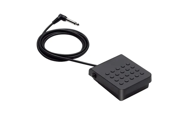 Casio Sp-3 Sustain Pedal