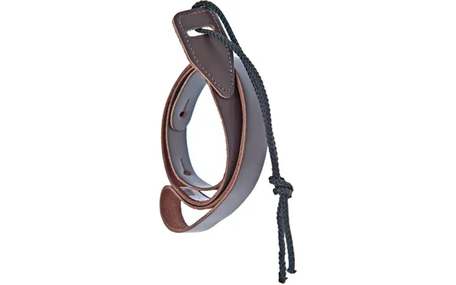 D'addario 75m01 Mandolin Rem - Brun