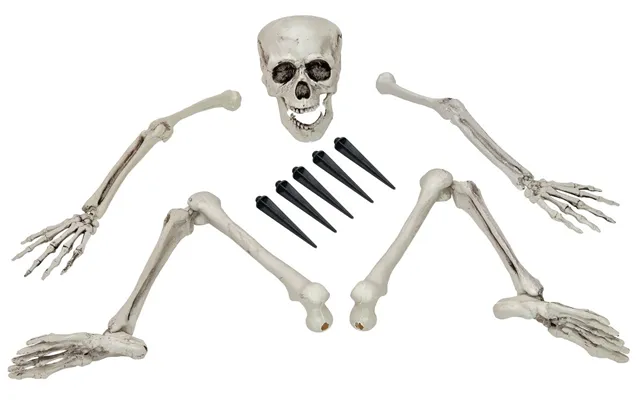 Halloween Skeletsæt I Løsedele