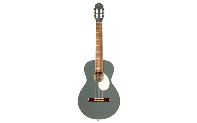 Ortega Rga-plt Klassisk Guitar 4 4 Inkl. Gigbag - Platinum Grey