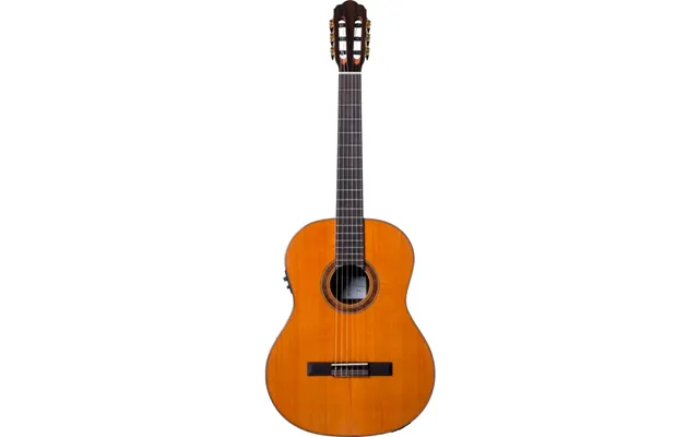 Santana El Clasico 96 Spansk Klassisk 4 4 Guitar Med Pickup Og Tuner