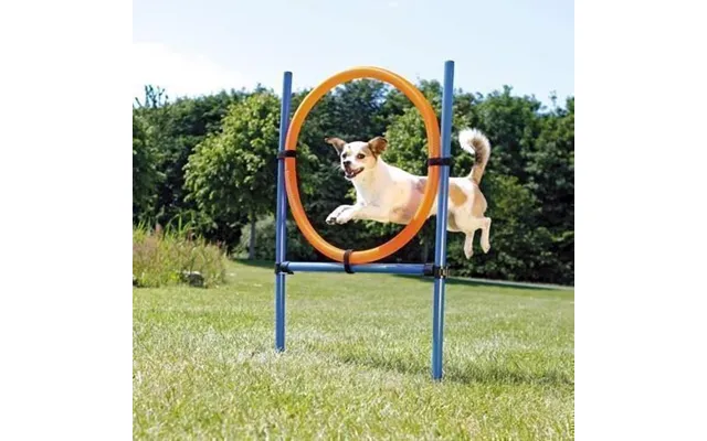 Agility Ring Til Spring - Agility Hjul
