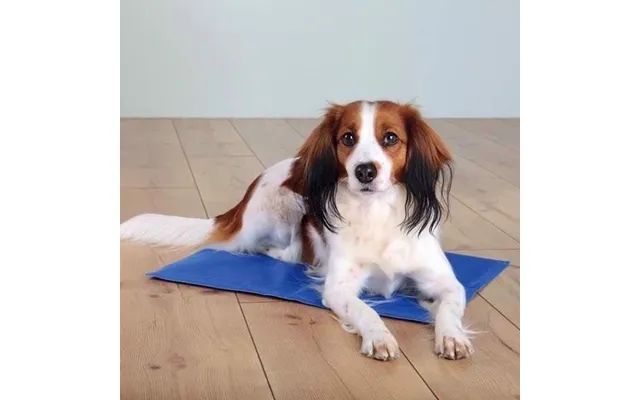 Kølemåtte Til Hunde - 90 X 50 Cm