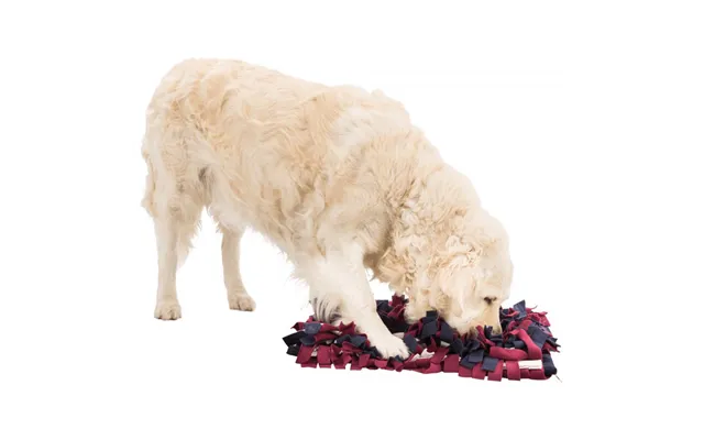 Snusetæppe Til Hunde - 50 X 34 Cm