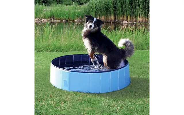 Vandbassin Til Mellem- Og Store Hunde - 160 X 30 Cm